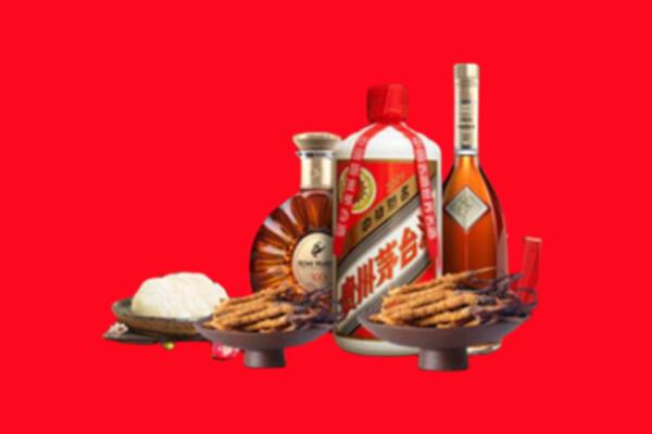 全南县虫草回收