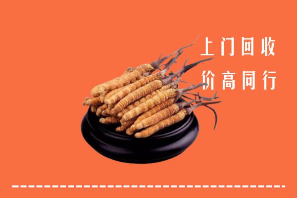 全南县回收冬虫夏草