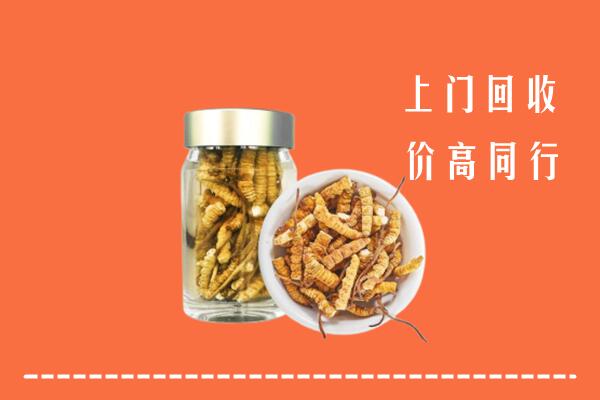 全南县回收冬虫夏草